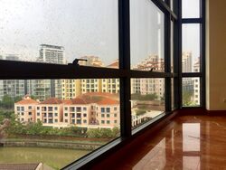 River Place (D3), Condominium #471293941